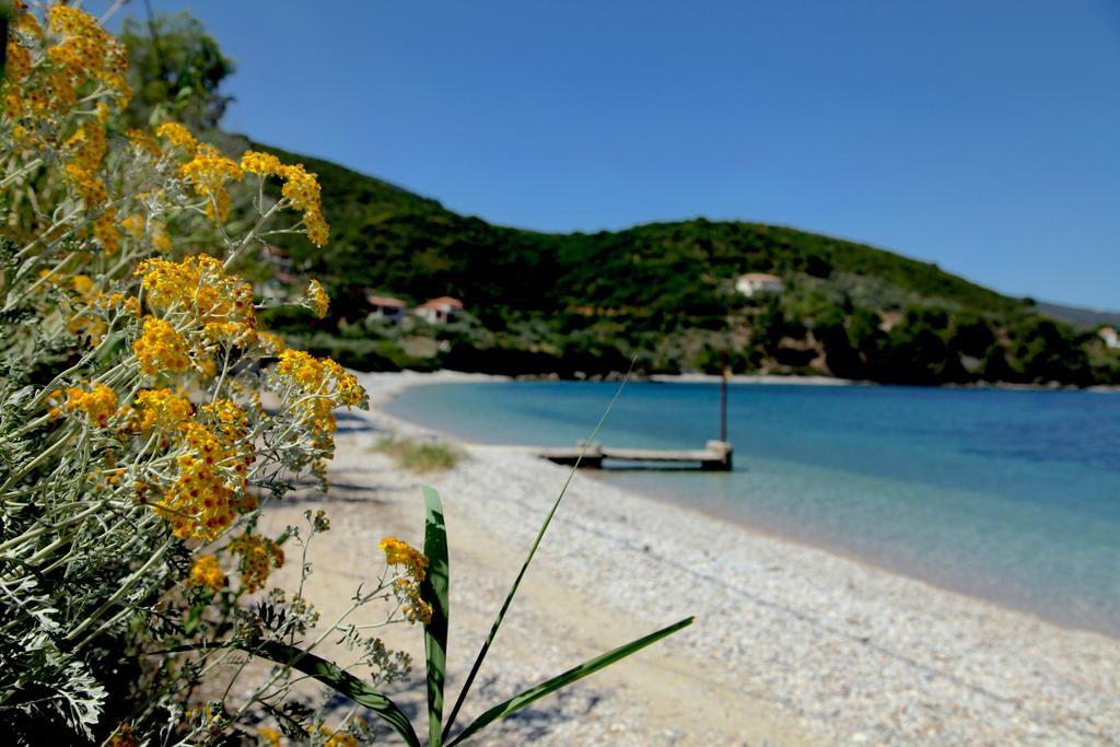 Casa Kalypso Suites & Villa Steni Vala Alonissos Dış mekan fotoğraf